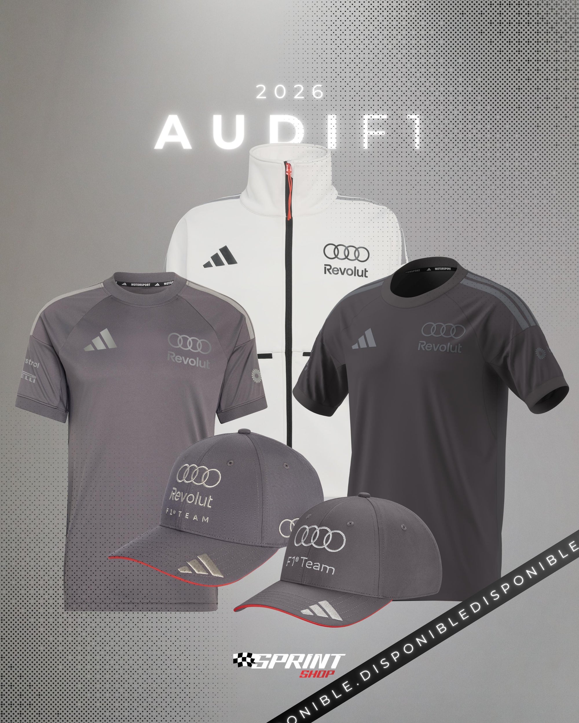 Audi Revolut F1 Team